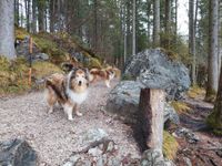 Hintersee, Ramsau